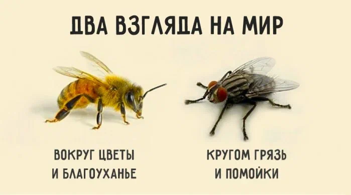 2 взгляда на мир.jpg